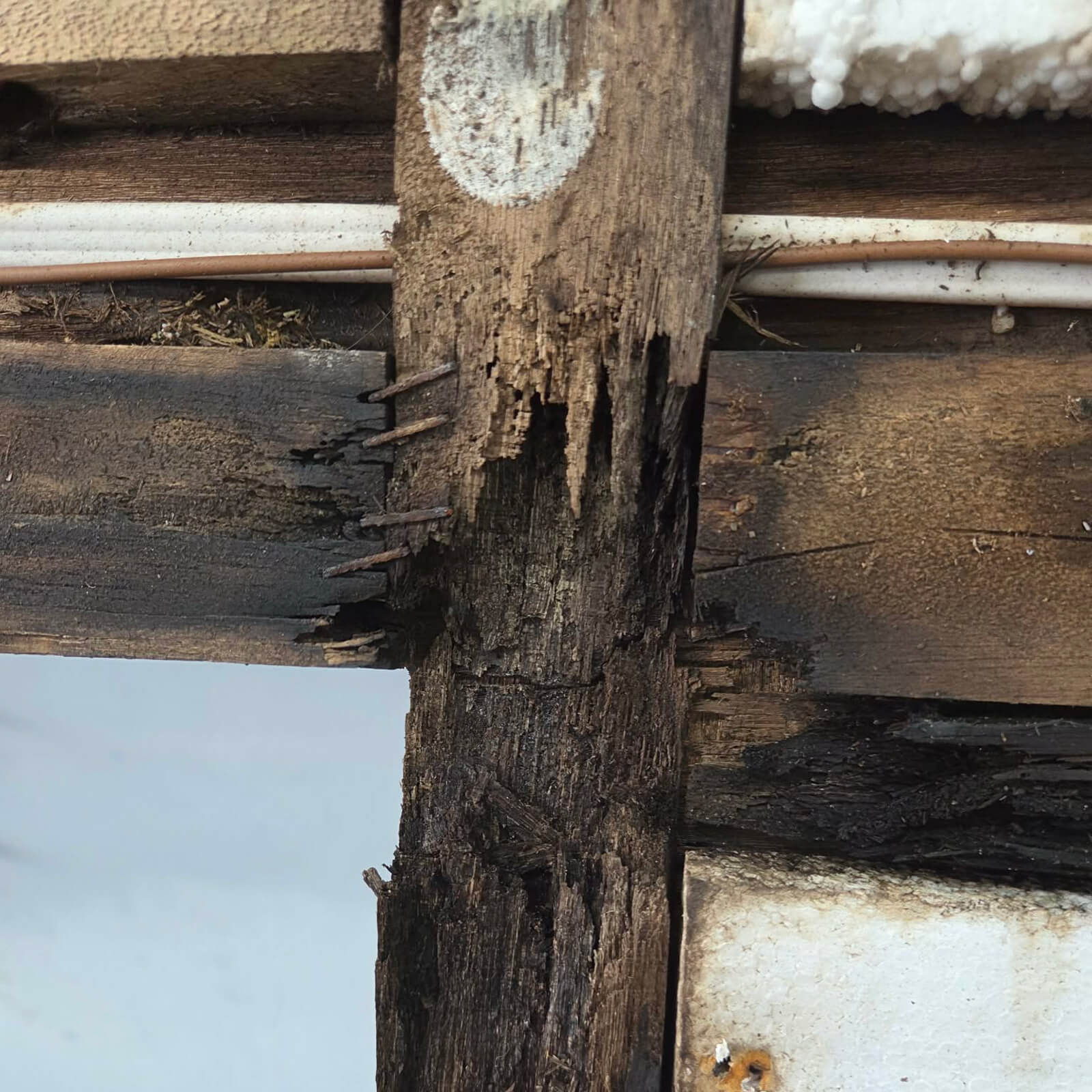 rotted frame (2) 1